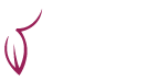 Cimec-logo
